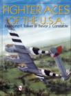 Image for Fighter Aces of the USA