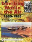 Image for Iran-Iraq War in the Air 1980-1988