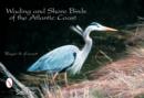 Image for Wading &amp; Shore Birds of the Atlantic Coast