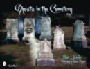Image for Ghosts in the cemetery  : a pictorial study