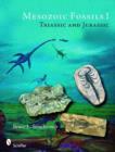 Image for Mesozoic Fossils : Triassic and Jurassic