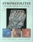Image for Stromatolites  : ancient, beautiful, and earth-altering