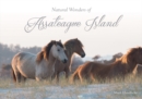 Image for Natural Wonders of Assateague Island