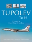 Image for Tupolev Tu-16 : Versatile Cold War Bomber