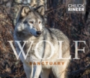 Image for Wolf Sanctuary