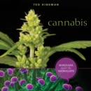 Image for Cannabis : Marijuana under the Microscope