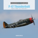 Image for P-47 Thunderbolt