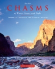 Image for In the chasms of water, stone, and light  : passages through the Grand Canyon