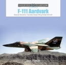 Image for F-111 Aardvark