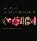 Image for Atlas of flowering plants  : visual studies of 200 deconstructed botanical families