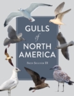 Image for Gulls of North America