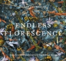 Image for Endless florescence  : transformative contemporary dried floral design