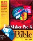 Image for FileMaker Pro 4 Bible