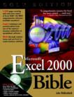 Image for Excel 2000 bible : Gold Edition