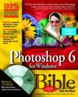 Image for Photoshop 6 for Windows Bible