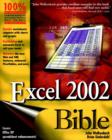Image for Excel 2002 bible
