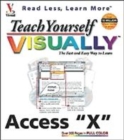 Image for Teach Yourself Visually Access 2003