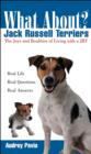 Image for What about Jack Russell Terriers?