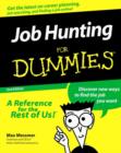 Image for Job Hunting For Dummies