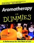Image for Aromatherapy For Dummies