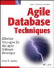 Image for Agile database techniques: effective strategies for the agile software developer
