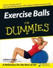 Image for Exercise Balls For Dummies