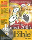 Image for Microsoft Office Project 2003 bible