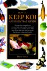 Image for How to Keep Koi