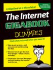Image for The Internet gigabook for dummies