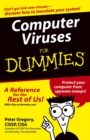 Image for Computer Viruses For Dummies