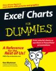 Image for Excel charts for dummies