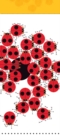 Image for Charley Harper Ladybugs 4 x 9 Notepad