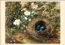 Image for Bird&#39;S Nest and Dog Roses John William Hill Small Boxed Cards