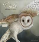 Image for Chappell/Owls 2016 Wall Calendar