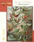 Image for Ernst Haeckel Hummingbirds 300 Piece Jigsaw Puzzle