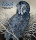 Image for Owls Jeannine Chappell 2019 Wall Calendar