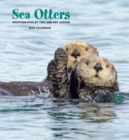 Image for Sea Otters 2019 Wall Calendar