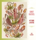 Image for Ernst Haeckel Art Forms in Nature 2019 Wall Calendar