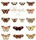 Image for Butterflies 2019 Wall Calendar