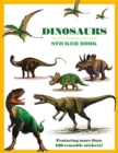 Image for Dinosaurs Sticker Book