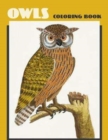 Image for Owls Coloring Book