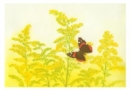 Image for Maurice Bebb Goldenrod and Red Admiral Boxed Small Notecards