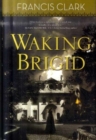 Image for Waking Brigid
