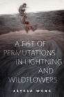 Image for Fist of Permutations in Lightning and Wildflowers: A Tor.Com Original