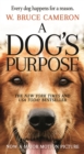 Image for A Dog&#39;s Purpose : A Novel for Humans