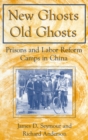 Image for New Ghosts, Old Ghosts: Prisons and Labor Reform Camps in China : Prisons and Labor Reform Camps in China