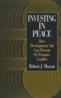 Image for Investing in Peace