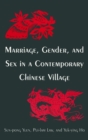 Image for Marriage, Gender and Sex in a Contemporary Chinese Village