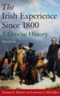 Image for The Irish Experience Since 1800: A Concise History : A Concise History