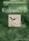 Image for Wetlands : Environmental Issues, Global Perspectives